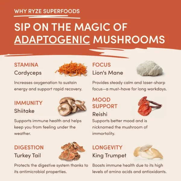 Mushroom Coffee (1 pack - 30 Servings) - Image 5