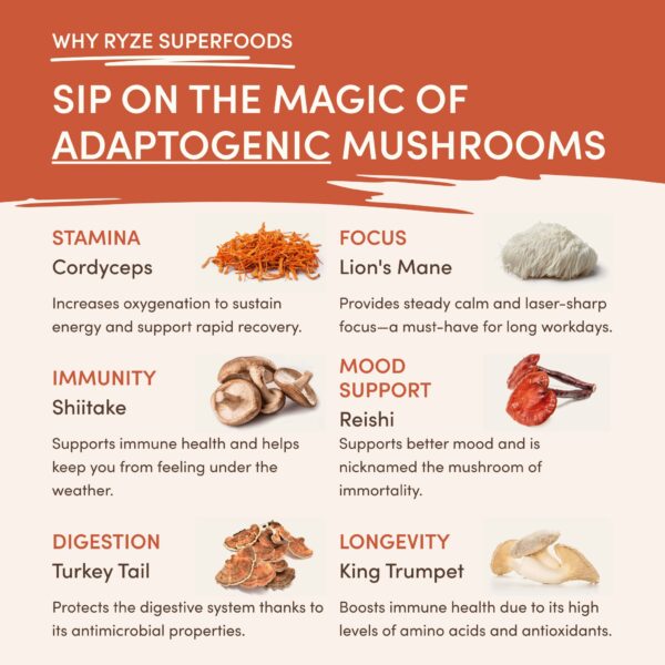 Superfood Creamer (30 Servings) - Image 4