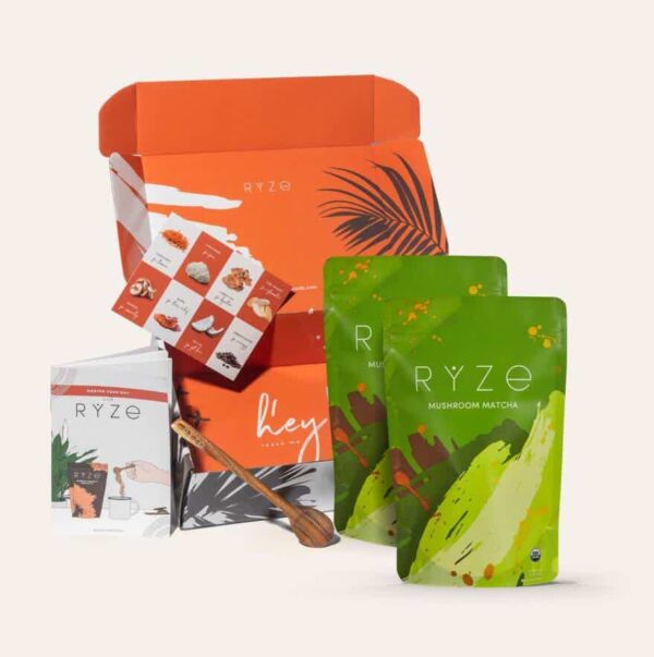 Mushroom Matcha Starter Kit ( 60 Servings ) - Image 3